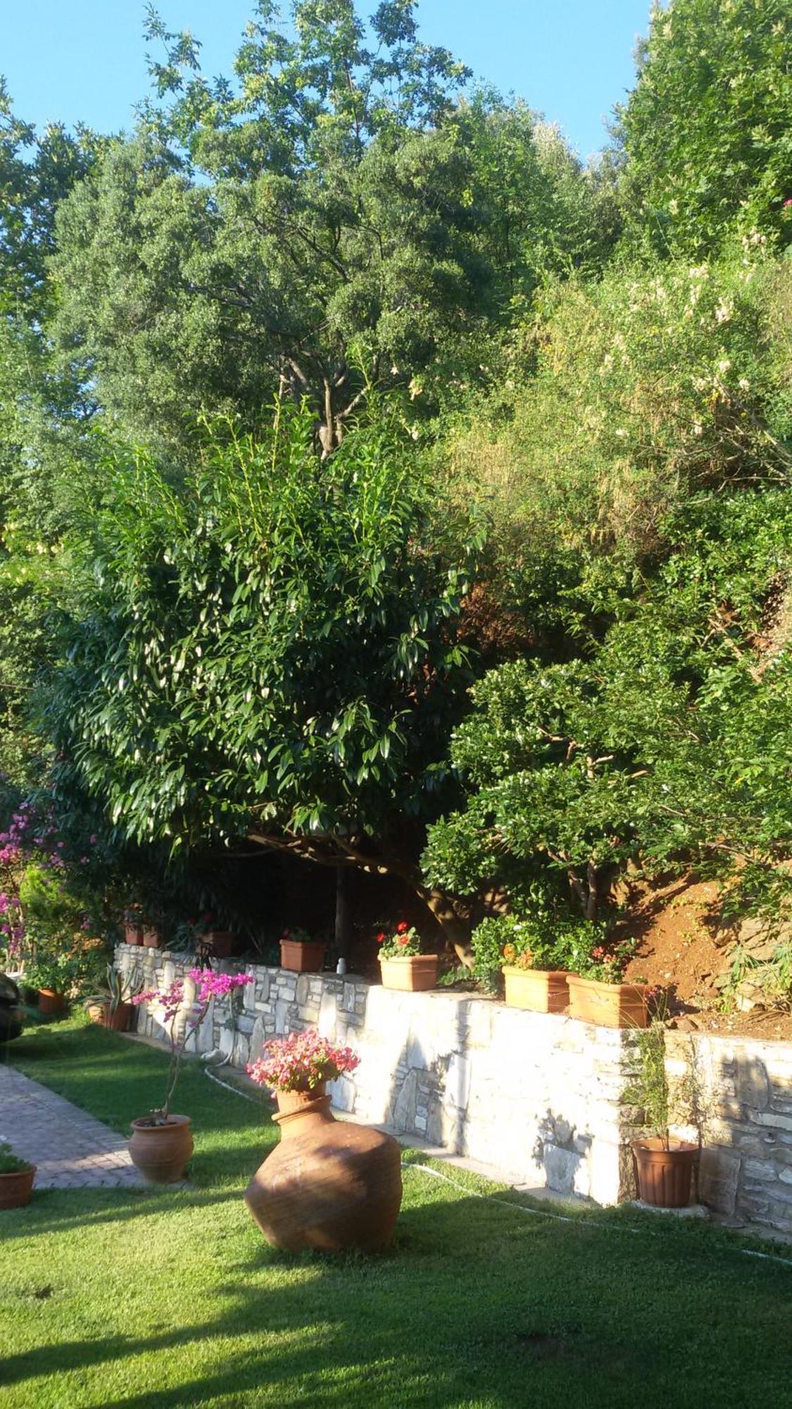 Villa Dimitra Skala Potamia  Exterior foto