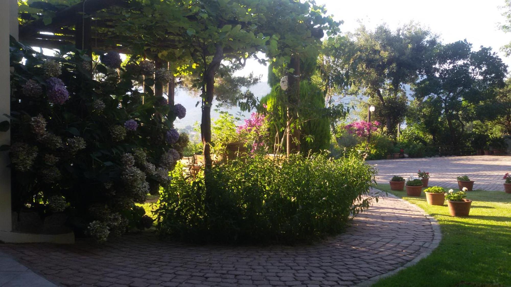 Villa Dimitra Skala Potamia  Exterior foto